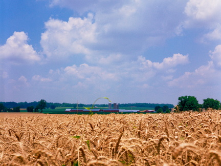 Rural Kentucky in early July